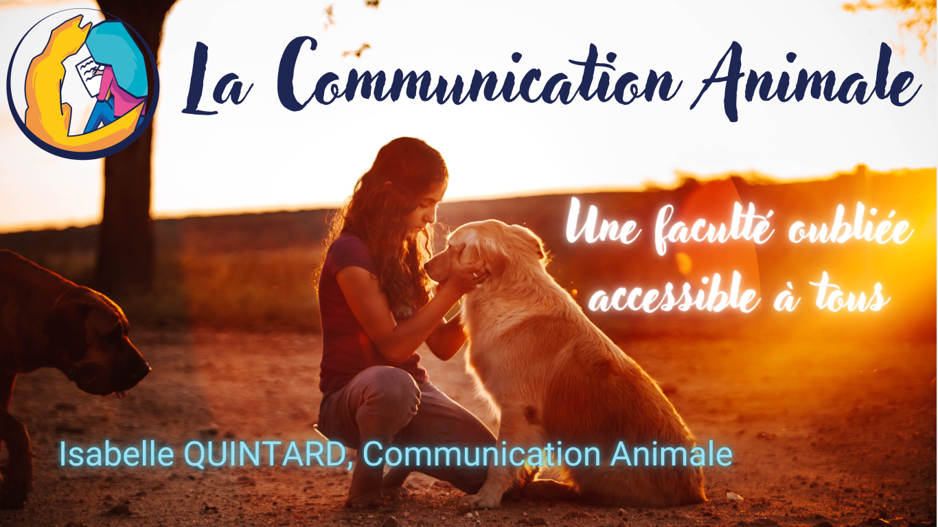 Conference communication animale